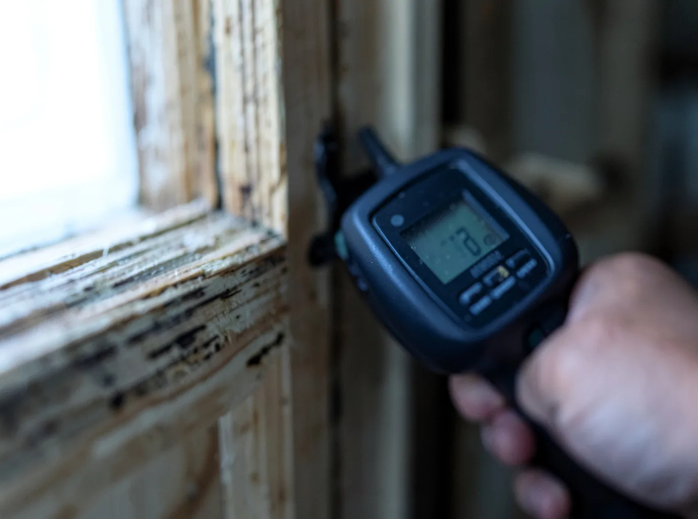 Moisture Inspection And Documentation in Kirkwood, IL